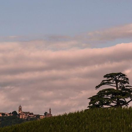 Villa Goccia Di Vino La Morra Exteriör bild
