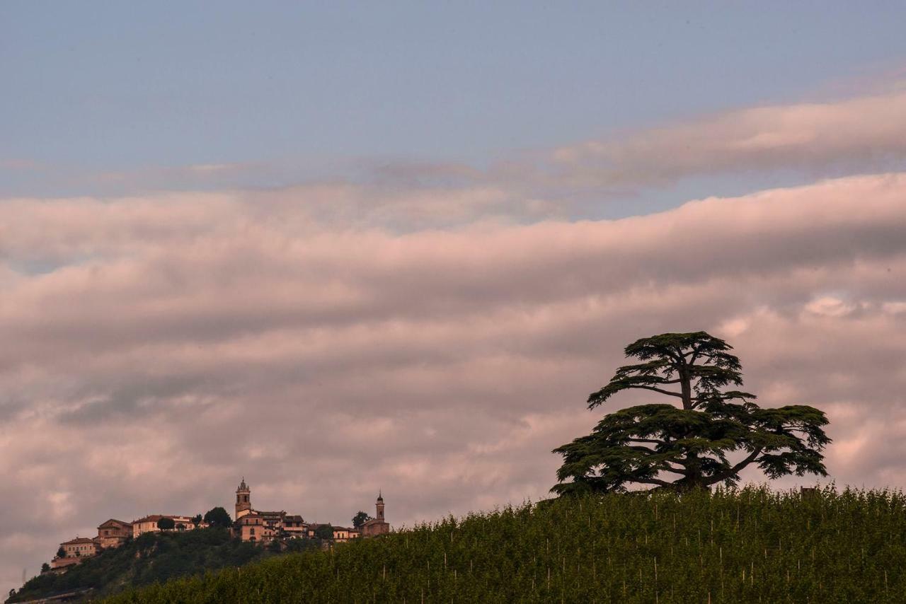 Villa Goccia Di Vino La Morra Exteriör bild